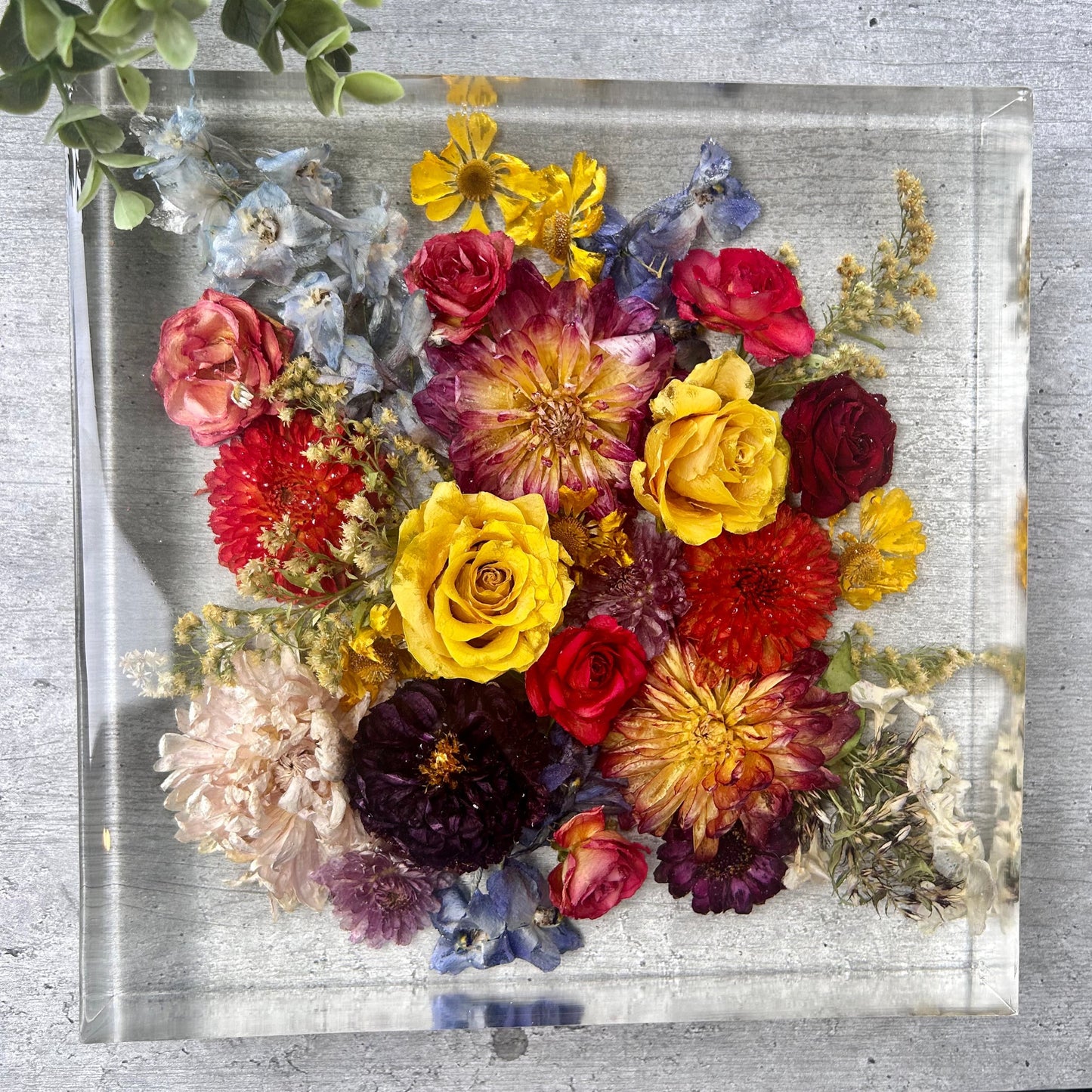 Cube 25cm Flower Preservation
